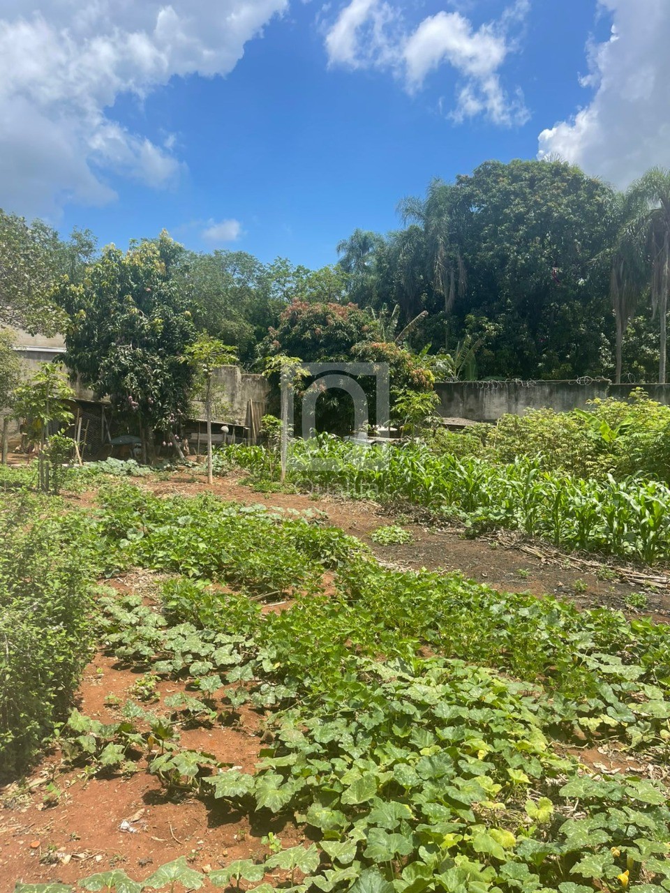 Chácara, 5 quartos, 1267 m² - Foto 21