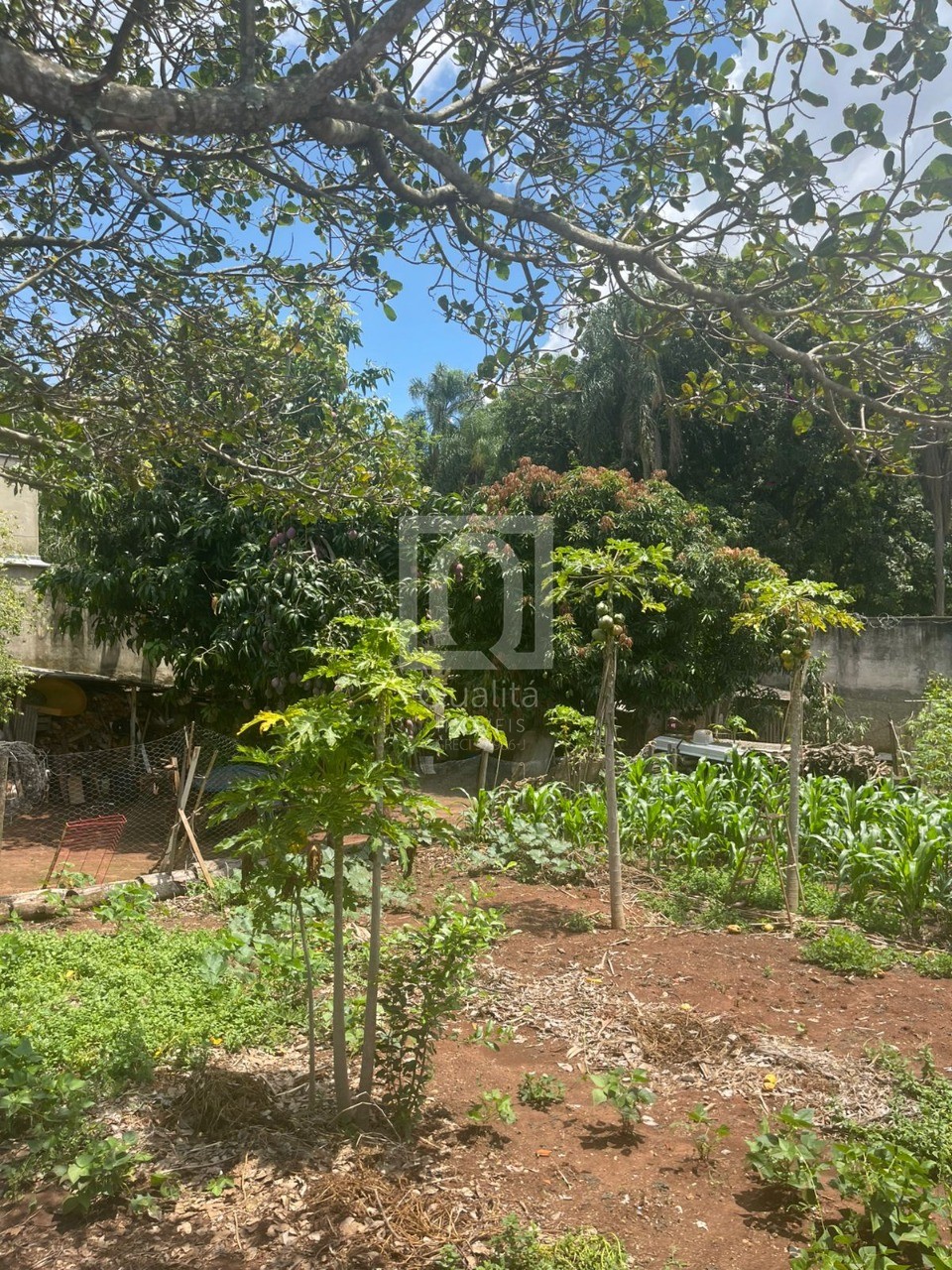 Chácara, 5 quartos, 1267 m² - Foto 23