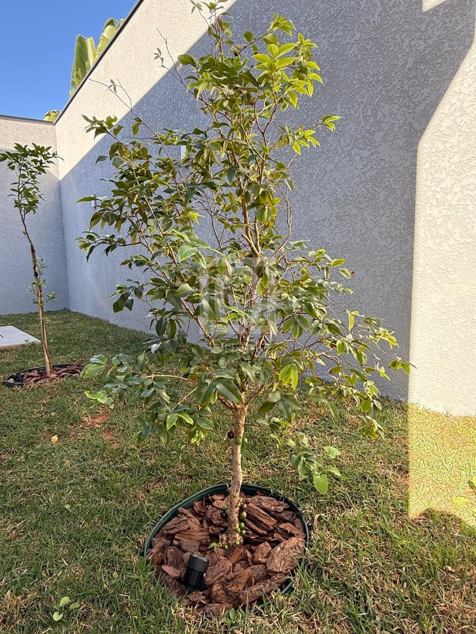 Casa de Condomínio, 3 quartos - Foto 21