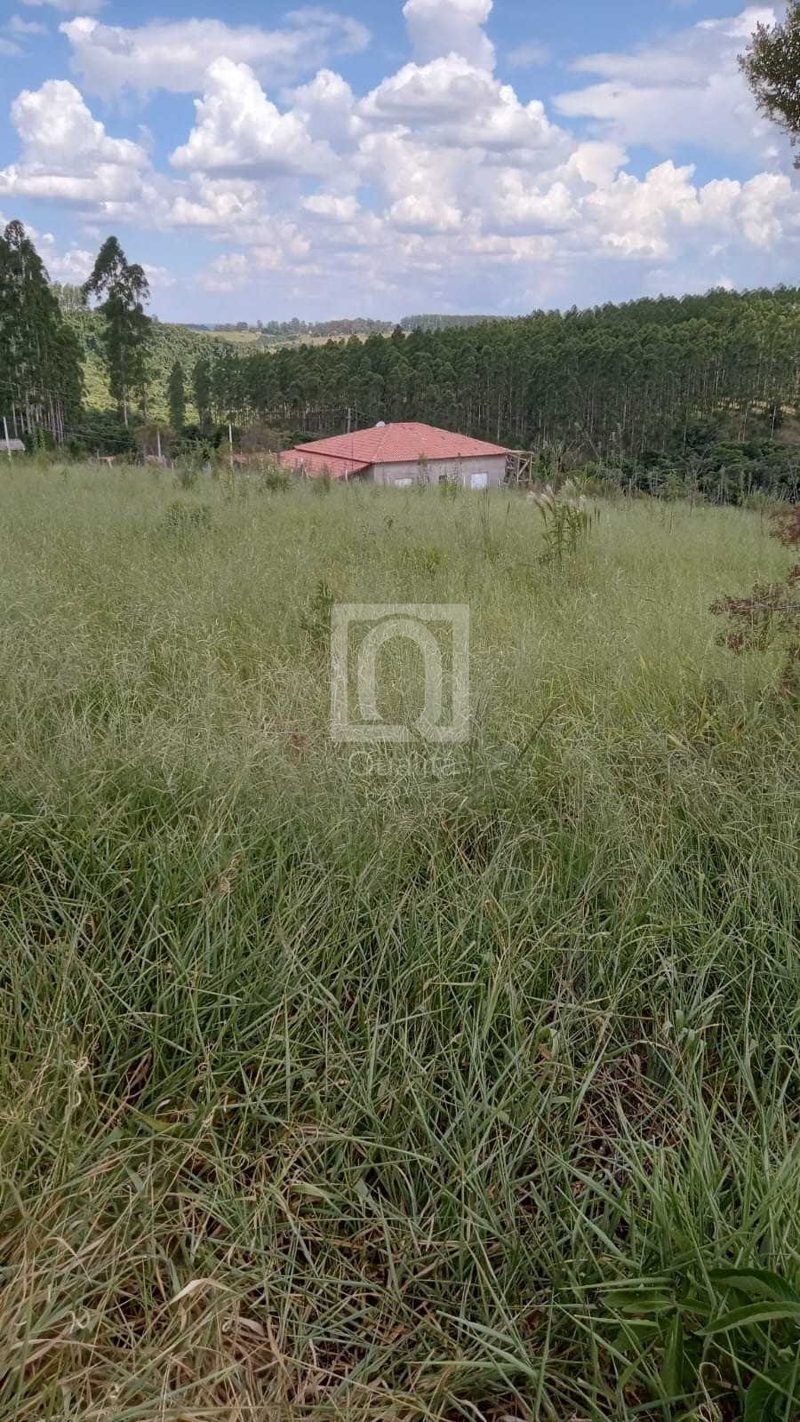 Terreno, 1000 m² - Foto 3