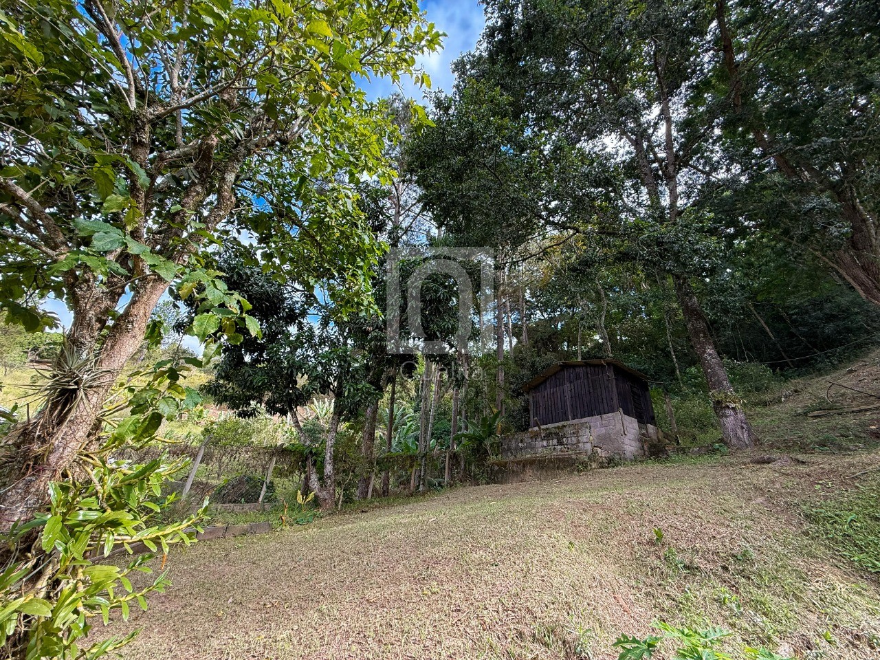 Chácara à venda com 4 quartos, 4706m² - Foto 30