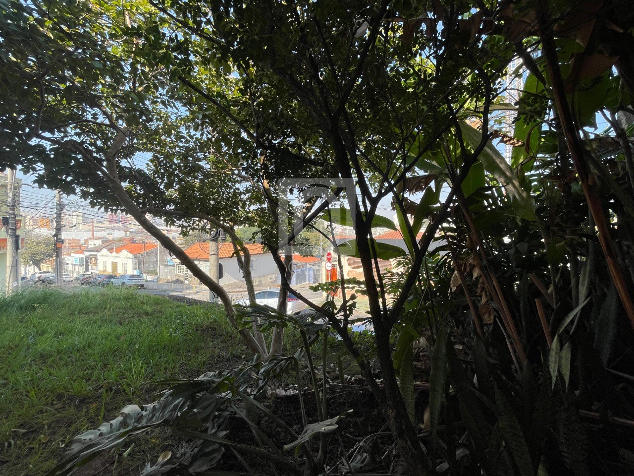 Prédio Inteiro à venda com 3 quartos, 300m² - Foto 27
