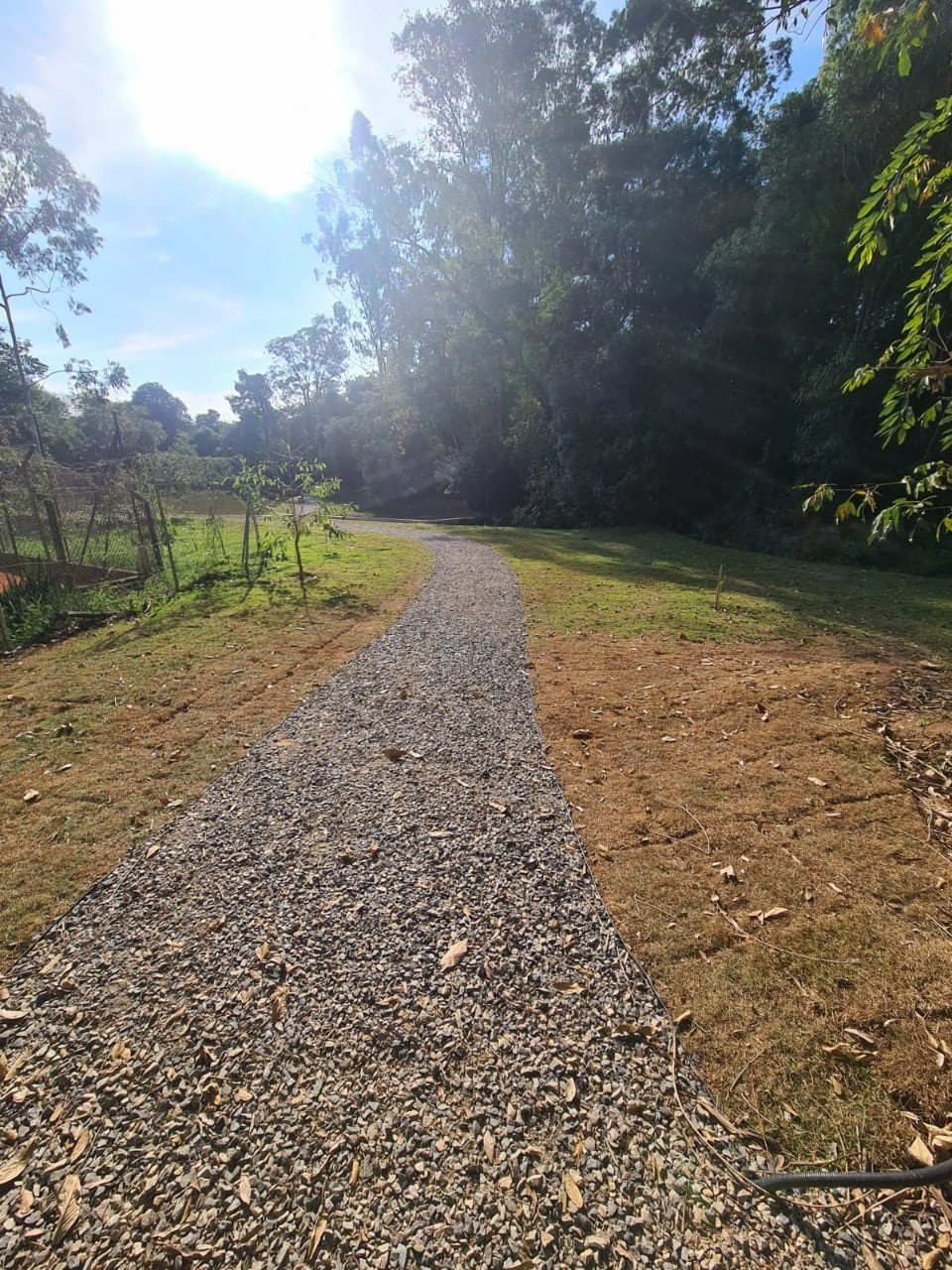 Terreno, 1157 m² - Foto 8
