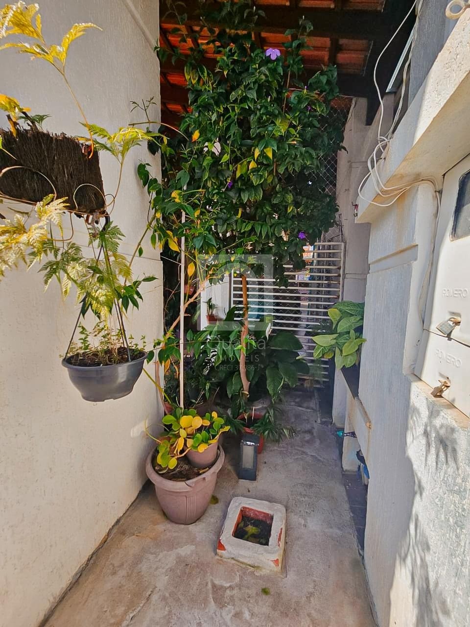 Casa de Condomínio, 2 quartos - Foto 6