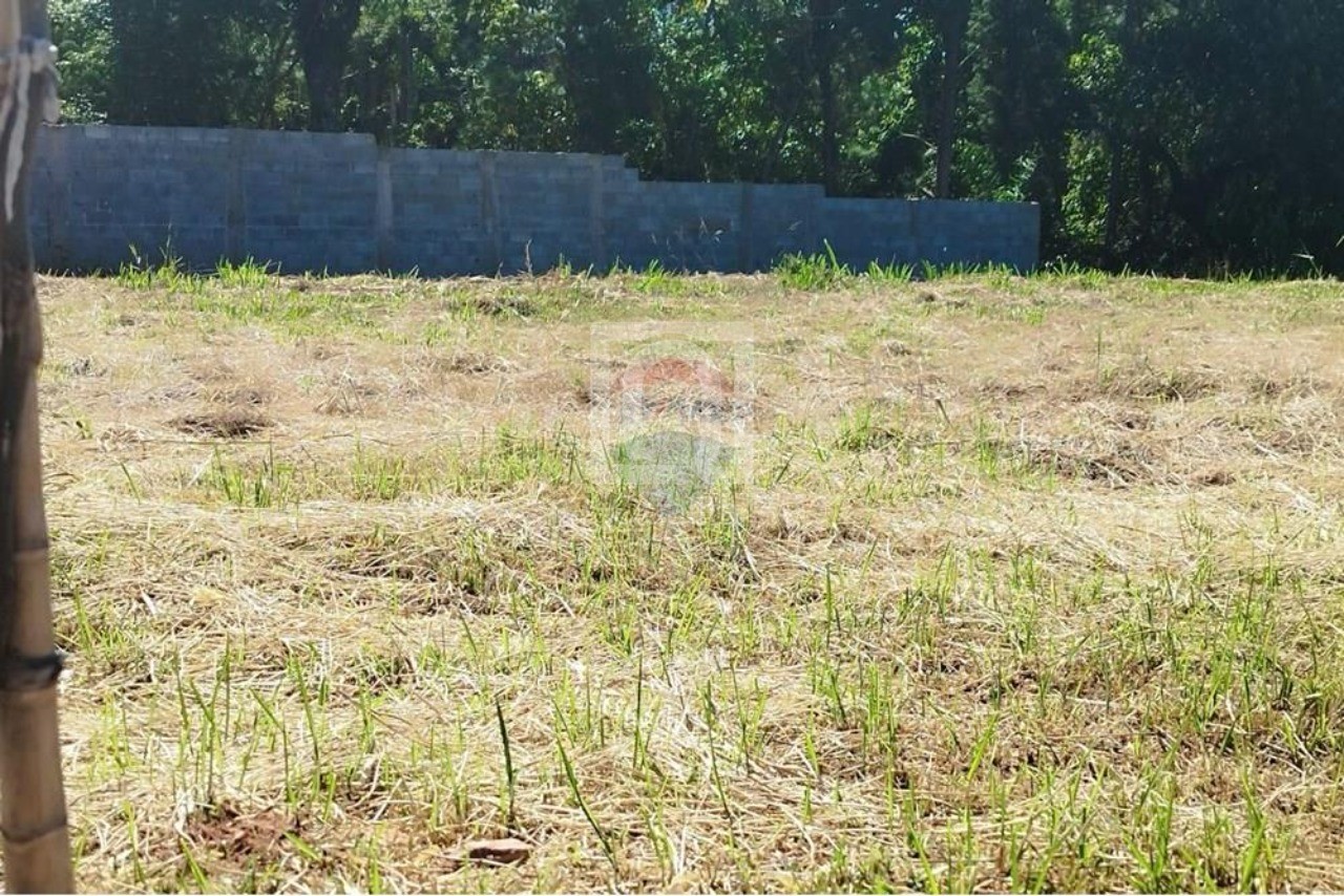 Terreno, 262 m² - Foto 4