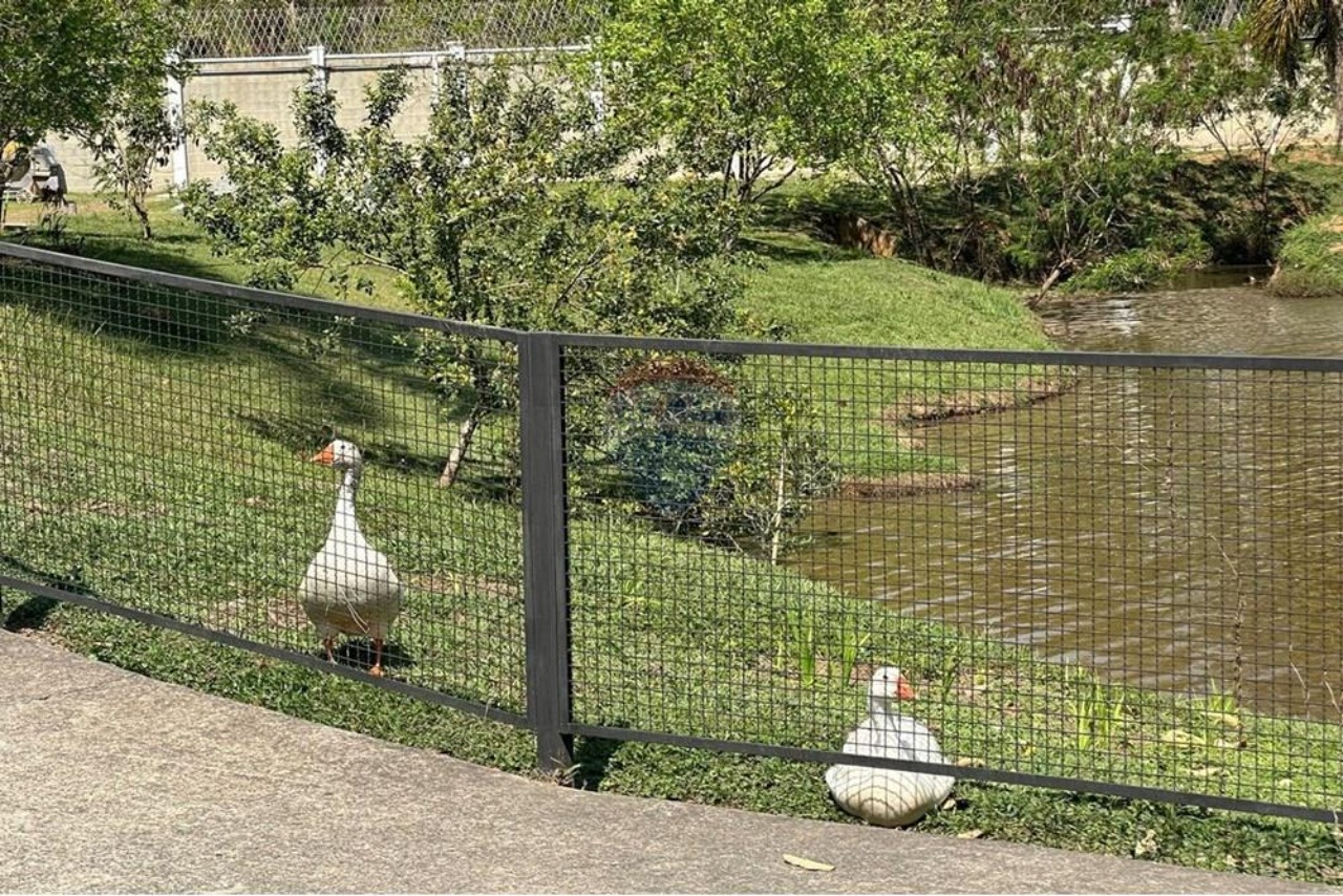 Terreno, 1015 m² - Foto 4