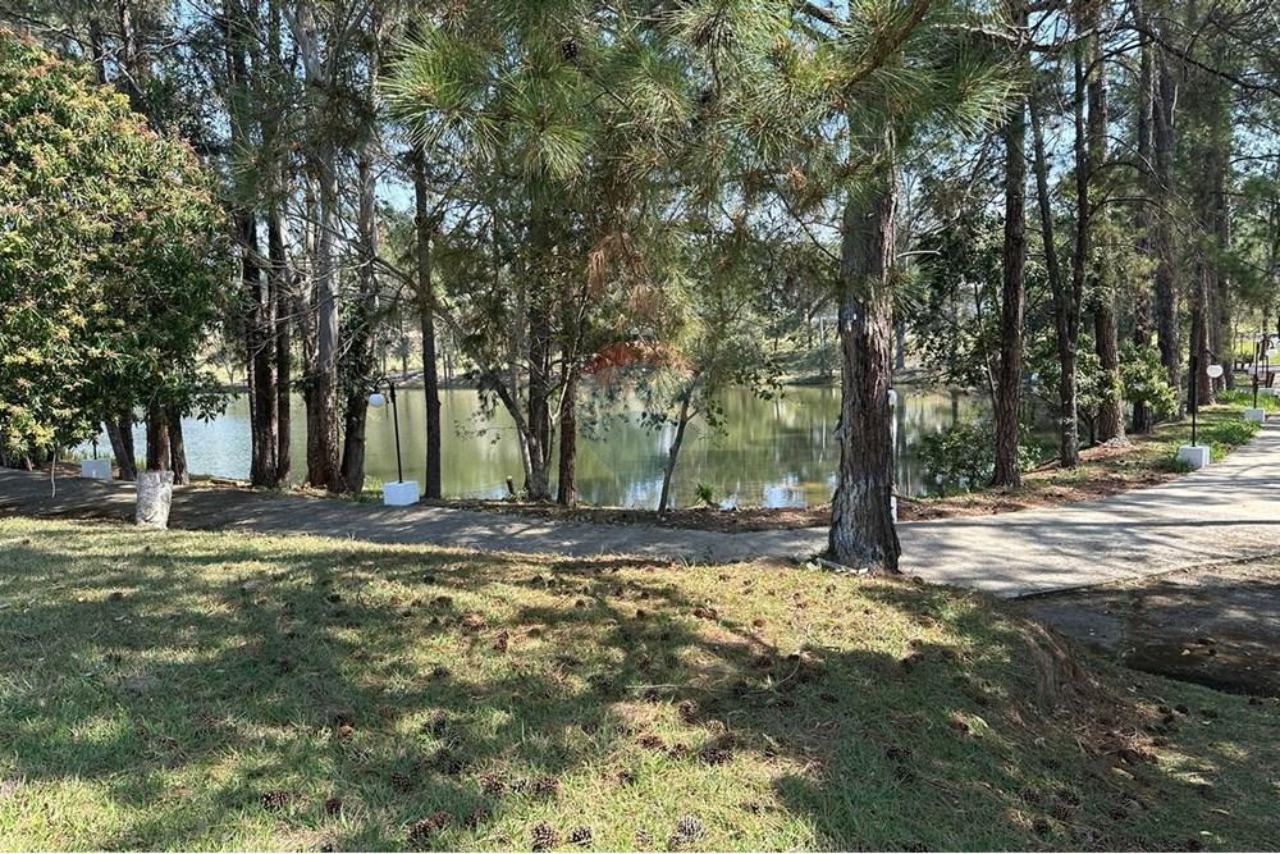 Terreno, 1015 m² - Foto 9