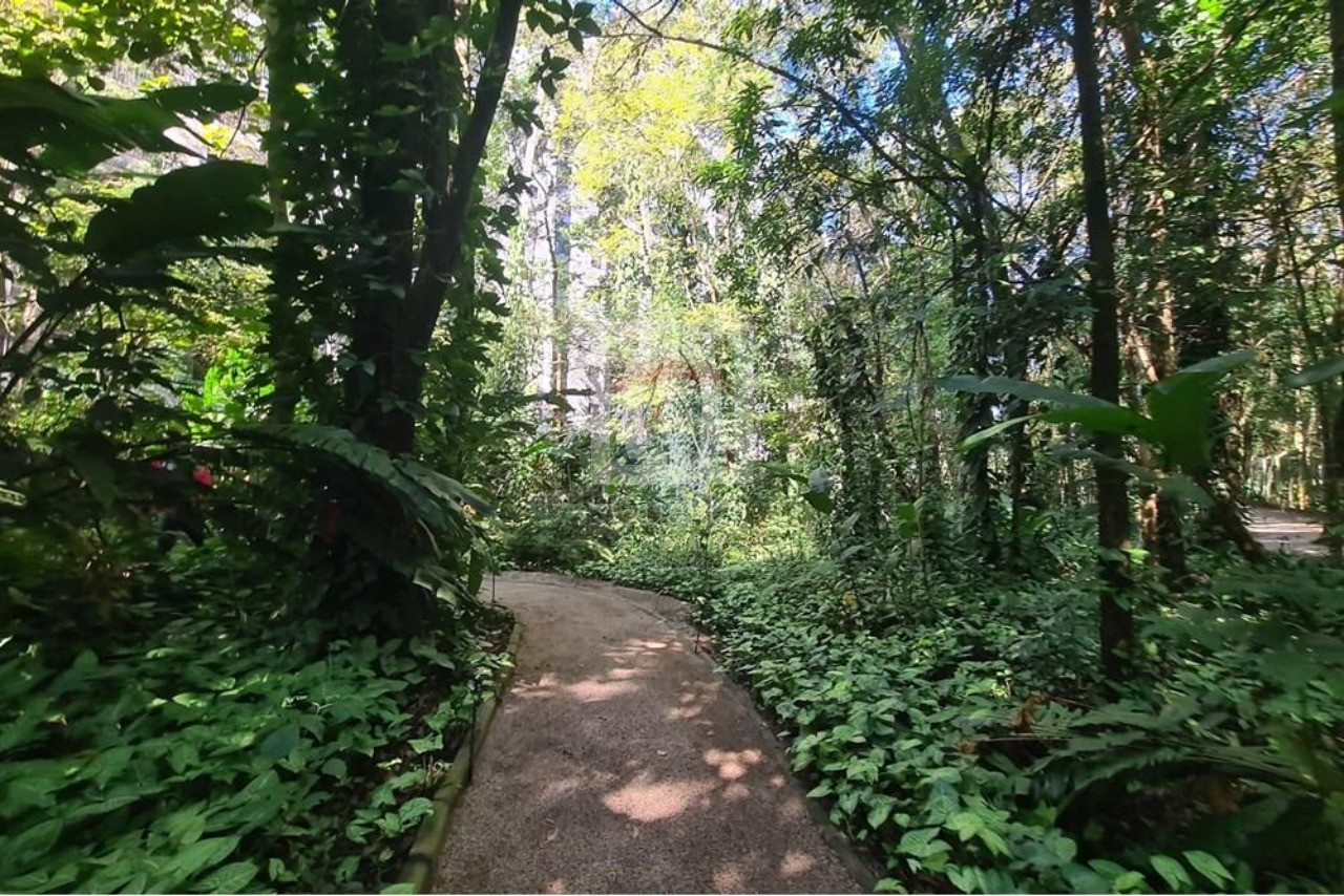 Cobertura, 3 quartos, 102 m² - Foto 37