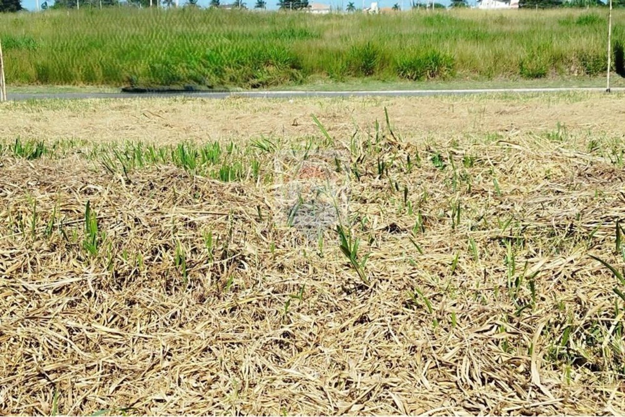 Terreno, 262 m² - Foto 5