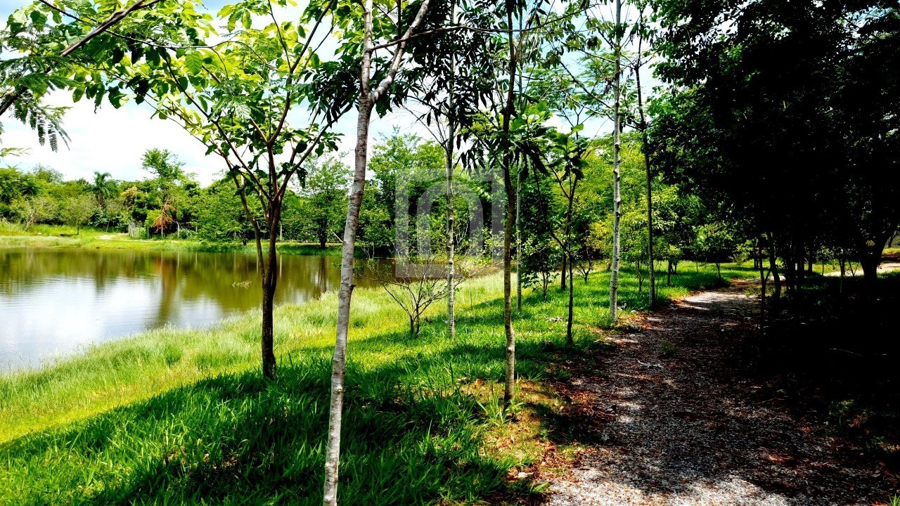 Casa de Condomínio, 4 quartos - Foto 20