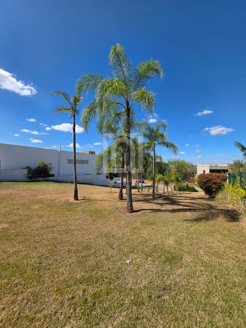 Terreno, 768 m² - Foto 8