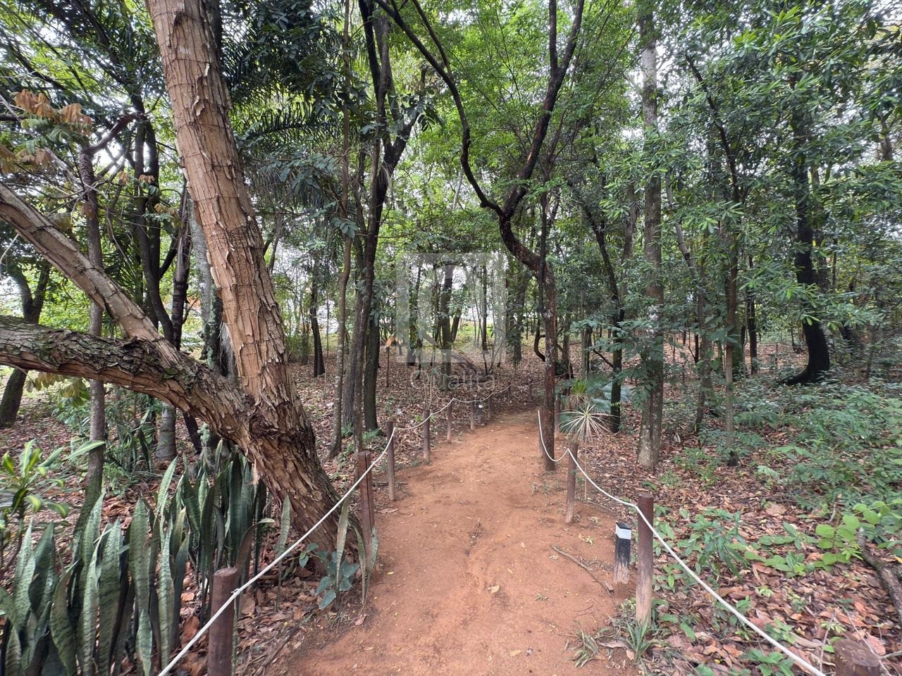 Terreno, 300 m² - Foto 5