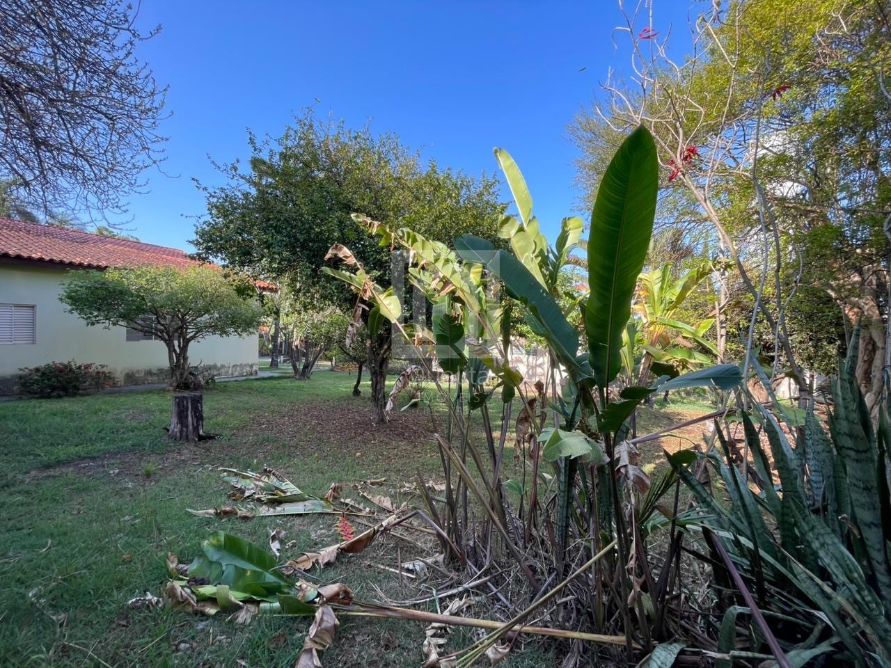 Chácara, 3 quartos, 114 m² - Foto 27