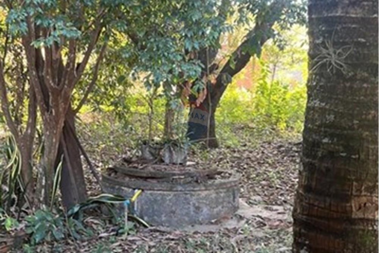 Chácara, 2 quartos, 2000 m² - Foto 18