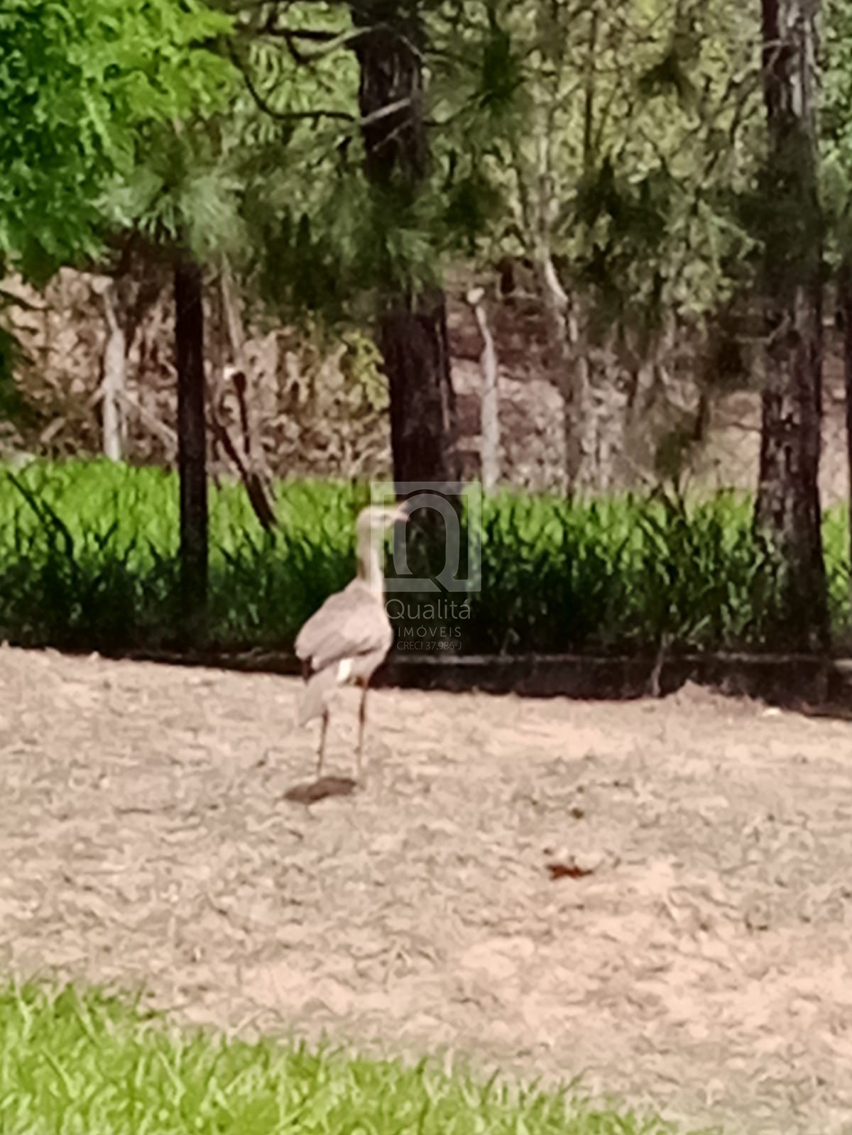 Chácara, 2 quartos, 1000 m² - Foto 69