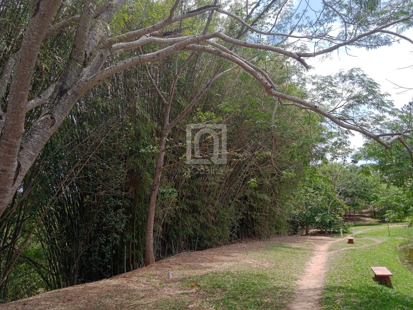 Chácara, 2 quartos, 1000 m² - Foto 40