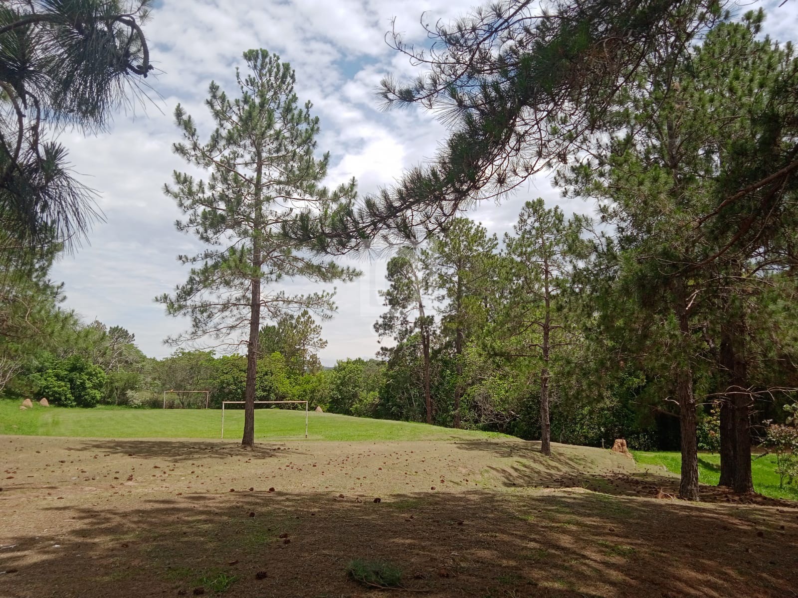 Chácara, 2 quartos, 1000 m² - Foto 24