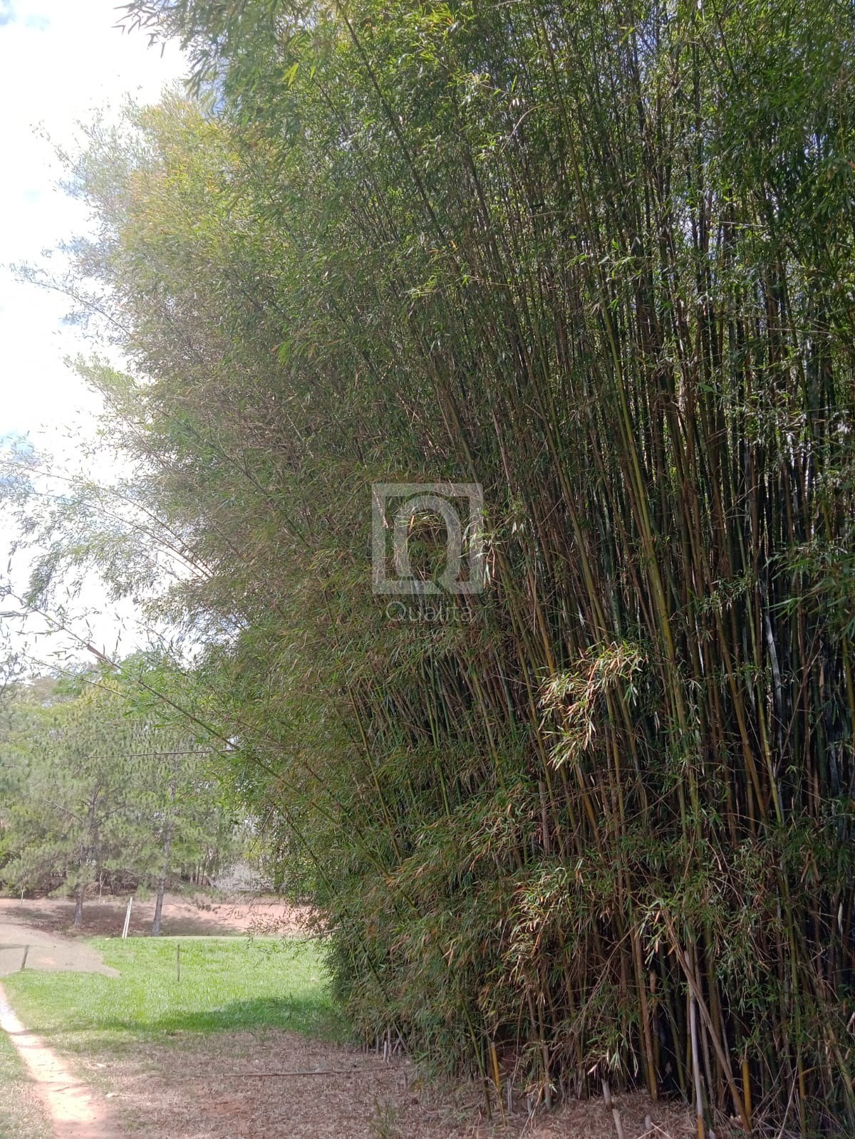 Chácara, 2 quartos, 1000 m² - Foto 41