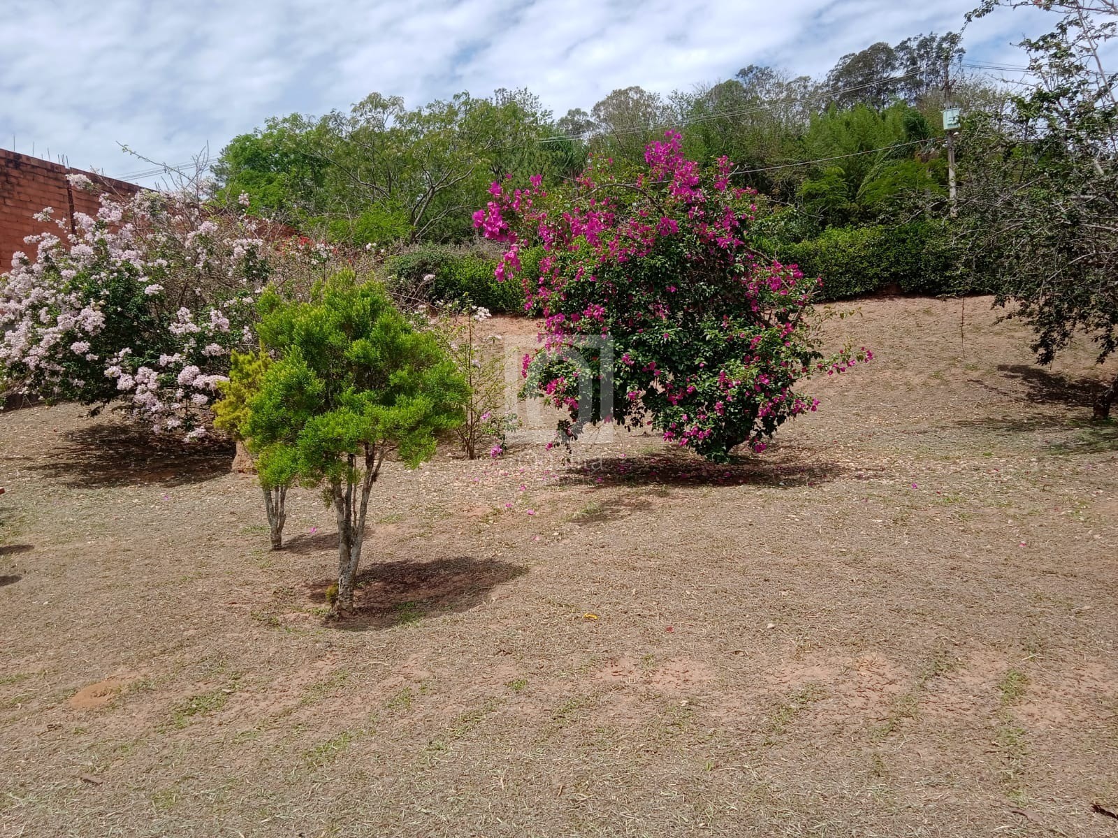 Chácara, 2 quartos, 1000 m² - Foto 43