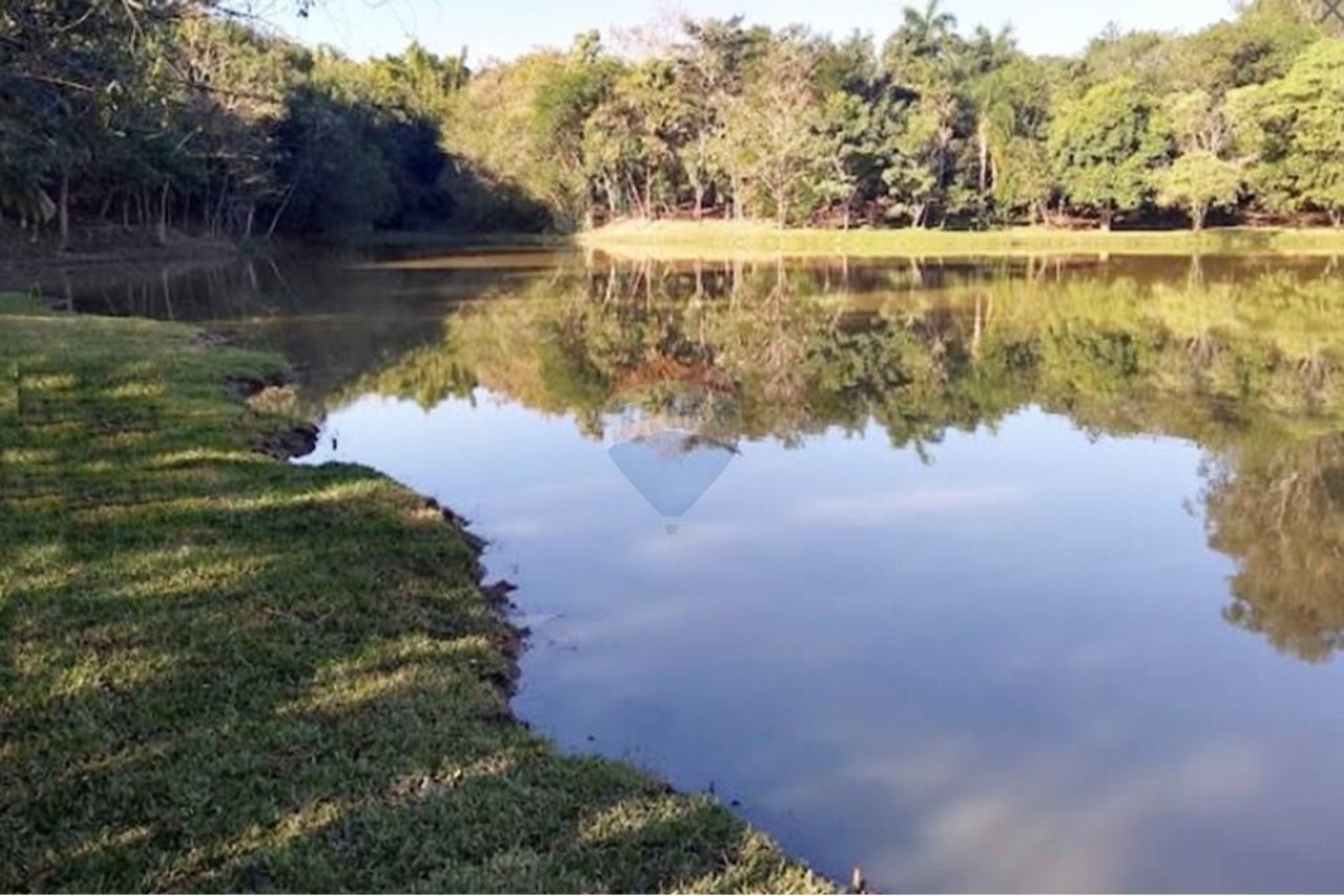 Terreno, 1003 m² - Foto 11