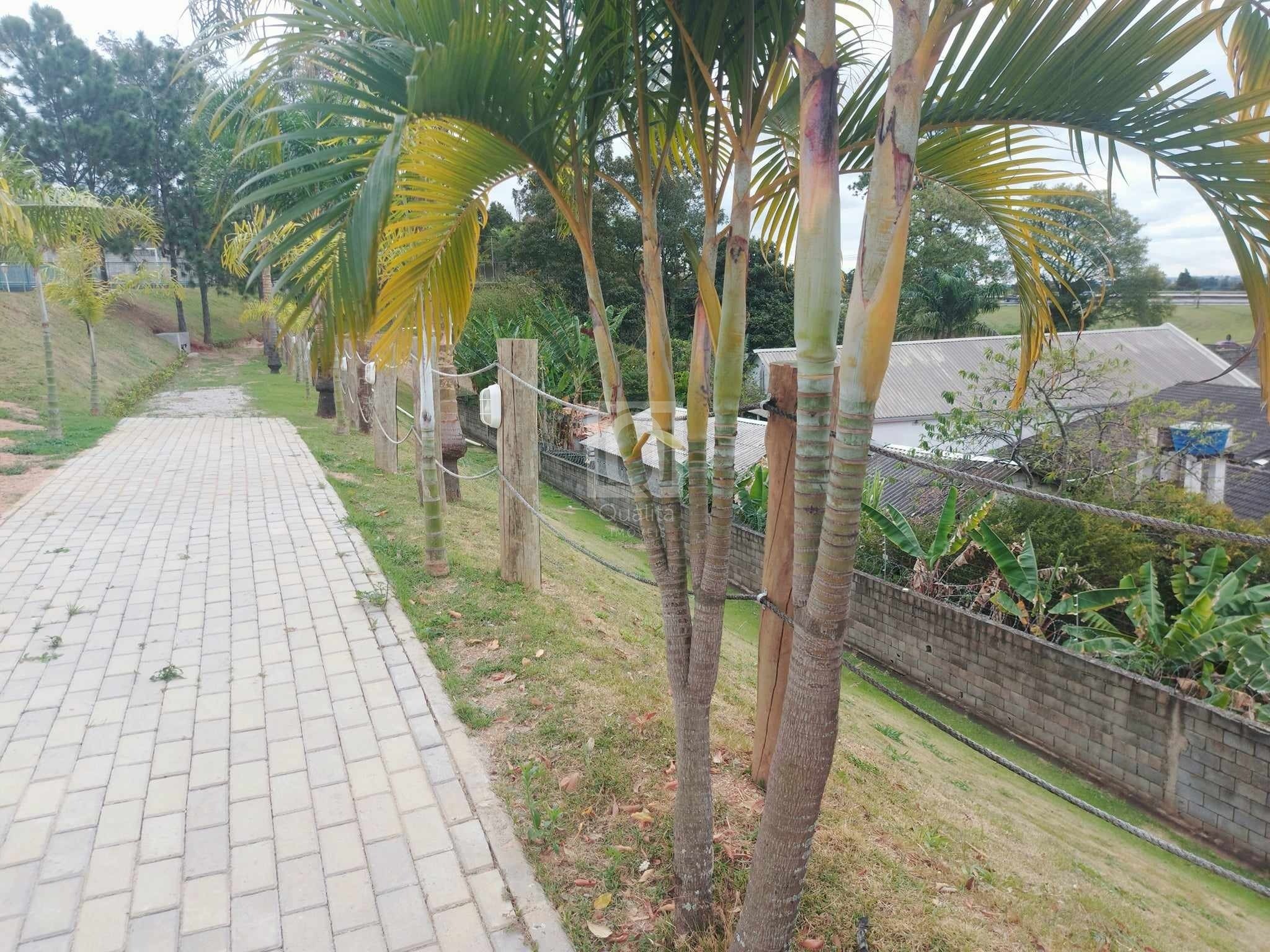 Terreno, 288 m² - Foto 7