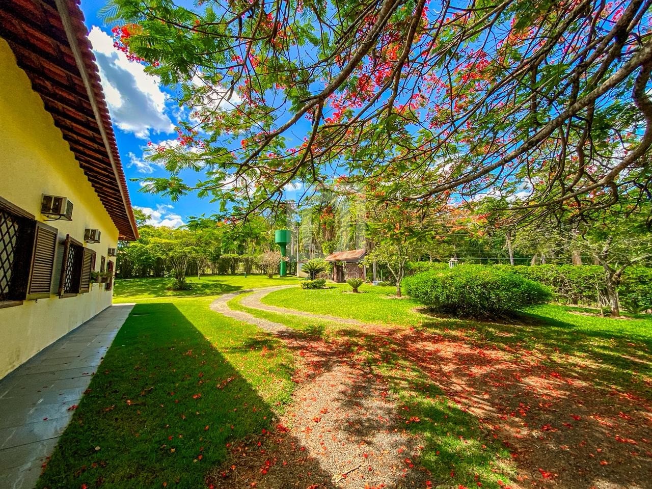 Chácara, 6 quartos, 5000 m² - Foto 59