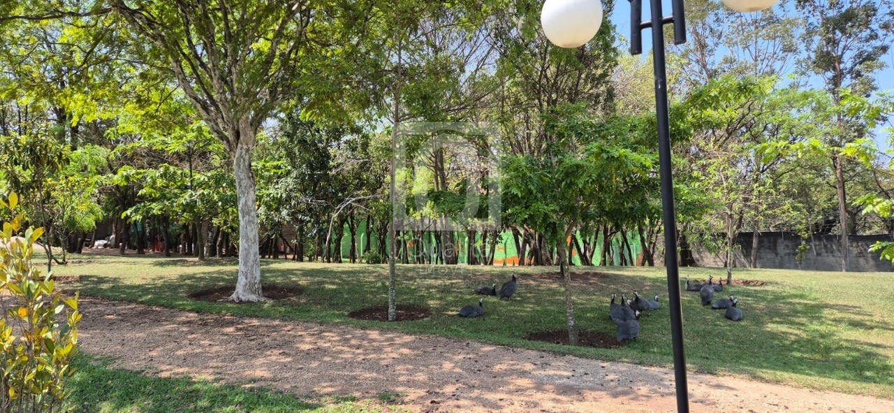 Terreno, 294 m² - Foto 9