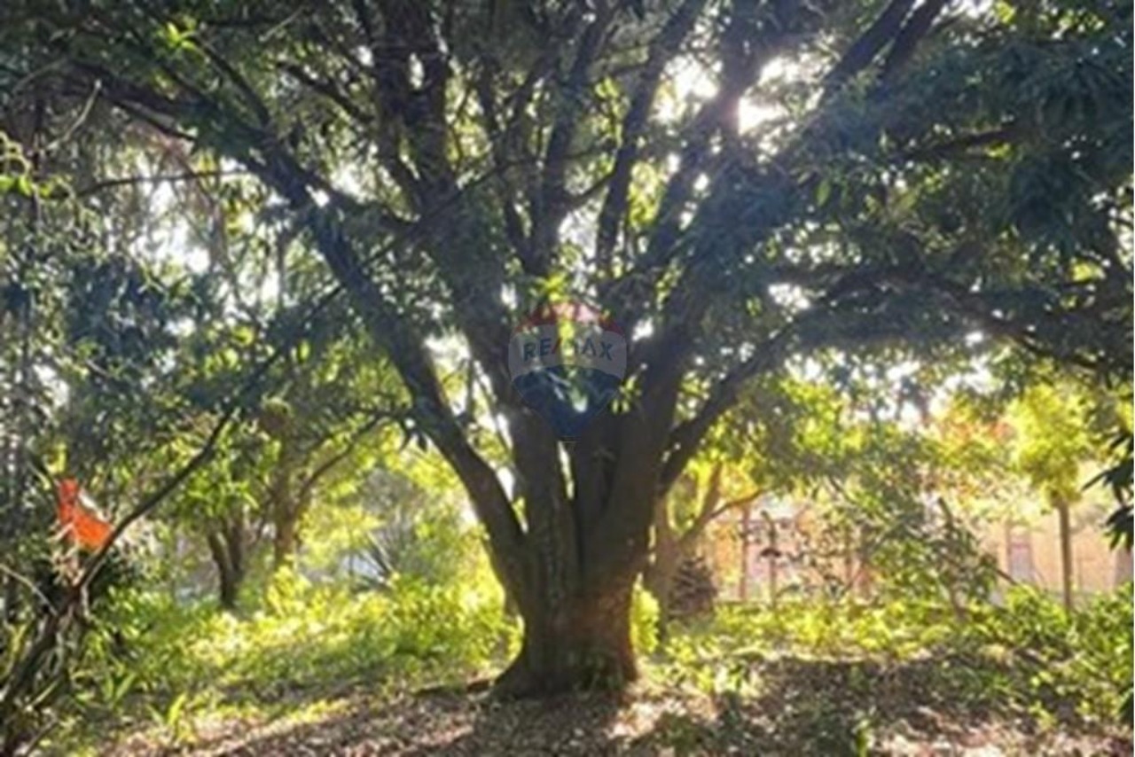 Chácara, 2 quartos, 2000 m² - Foto 16