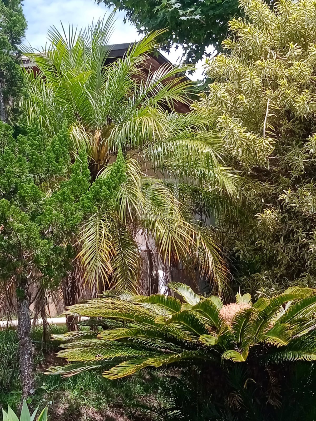 Chácara, 2 quartos, 1000 m² - Foto 51