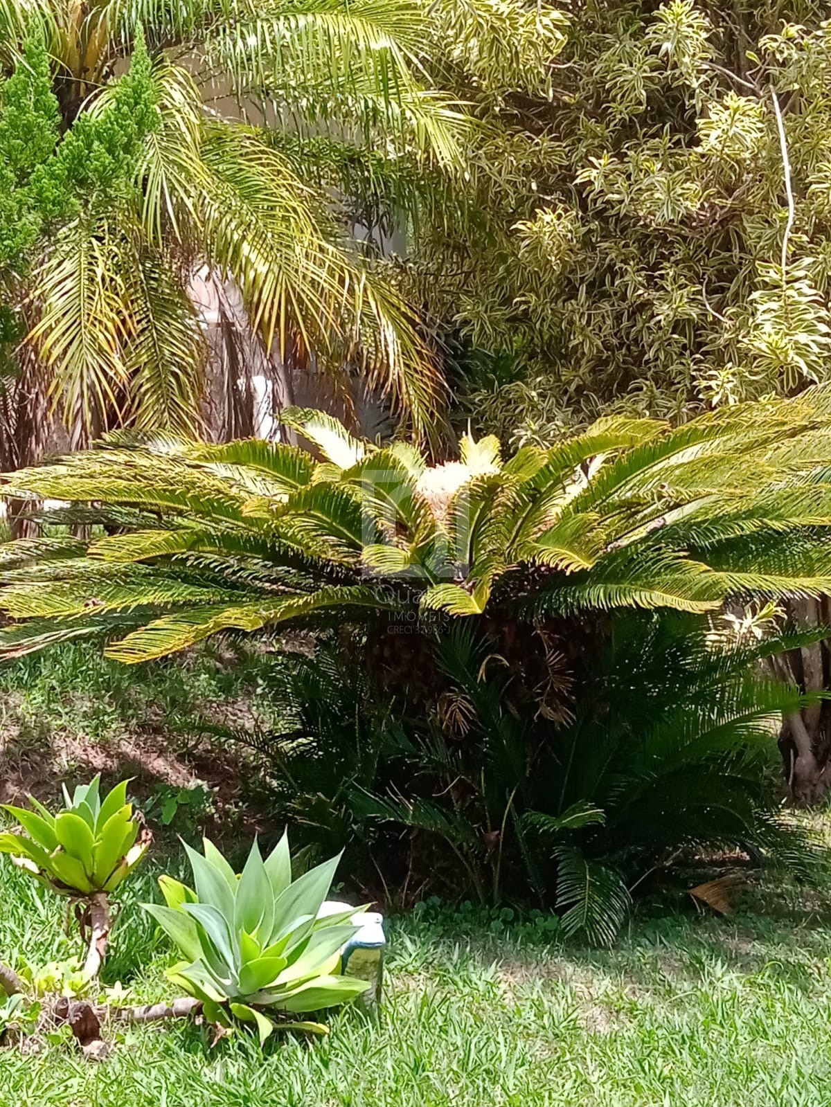 Chácara, 2 quartos, 1000 m² - Foto 26