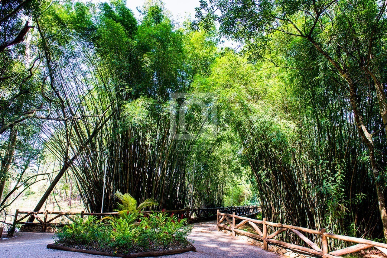 Terreno, 1144 m² - Foto 15