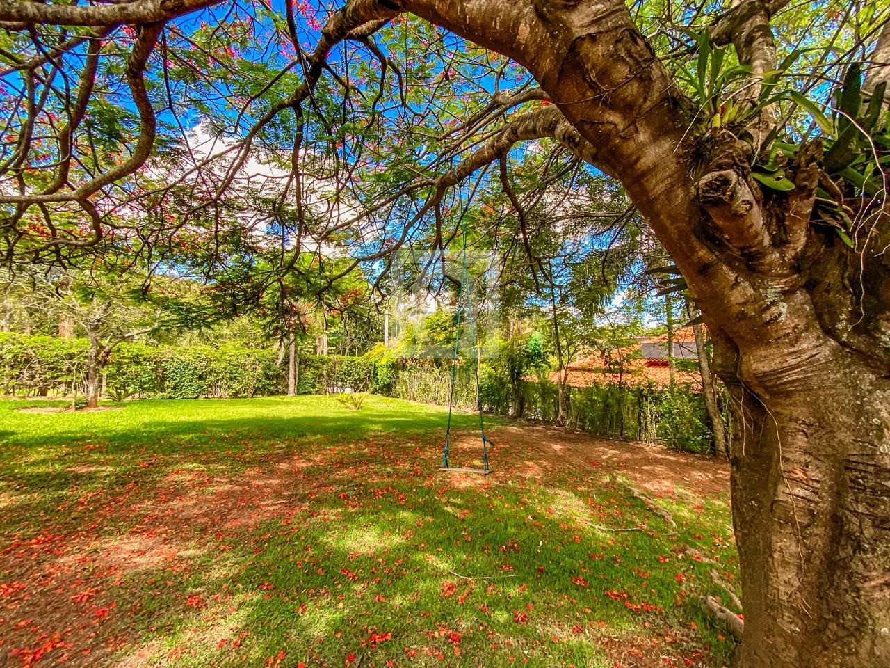 Chácara, 6 quartos, 5000 m² - Foto 58