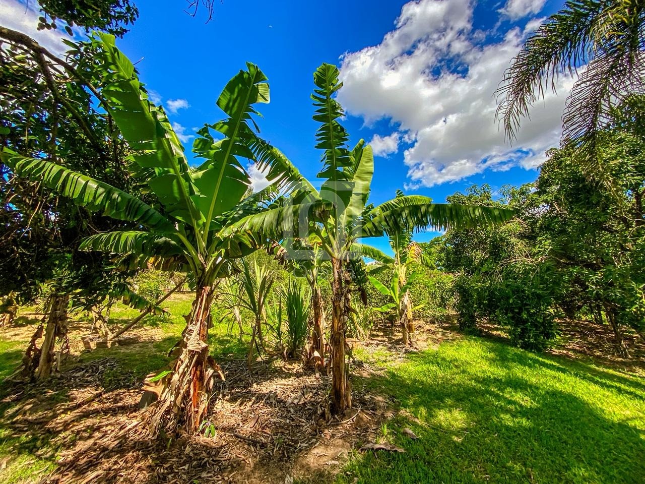 Chácara, 6 quartos, 5000 m² - Foto 74