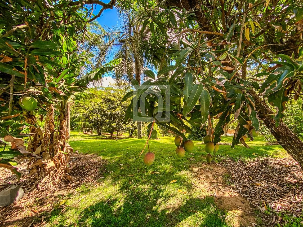 Chácara, 6 quartos, 5000 m² - Foto 75