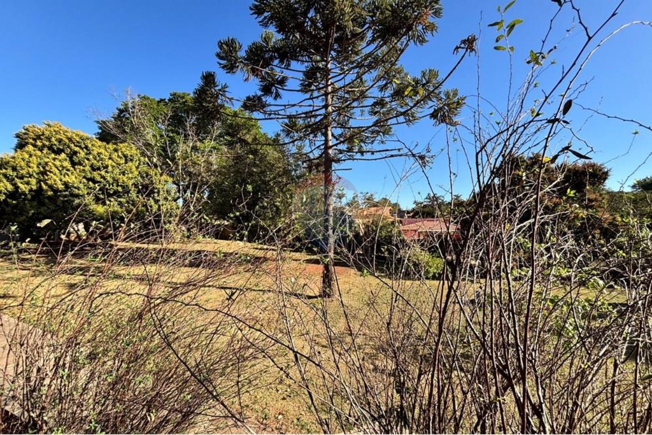 Chácara, 4 quartos, 3000 m² - Foto 12