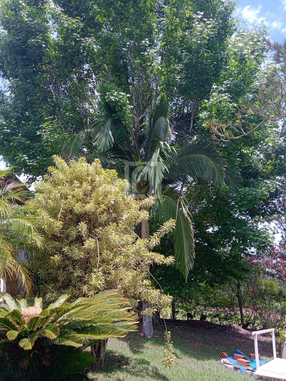 Chácara, 2 quartos, 1000 m² - Foto 42