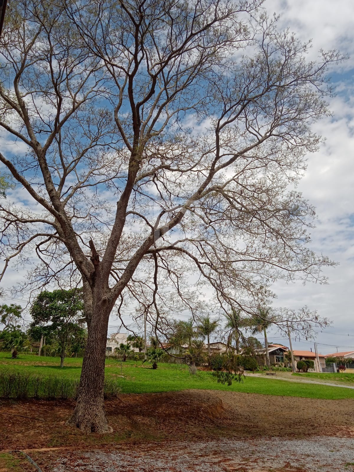 Chácara, 2 quartos, 1000 m² - Foto 70