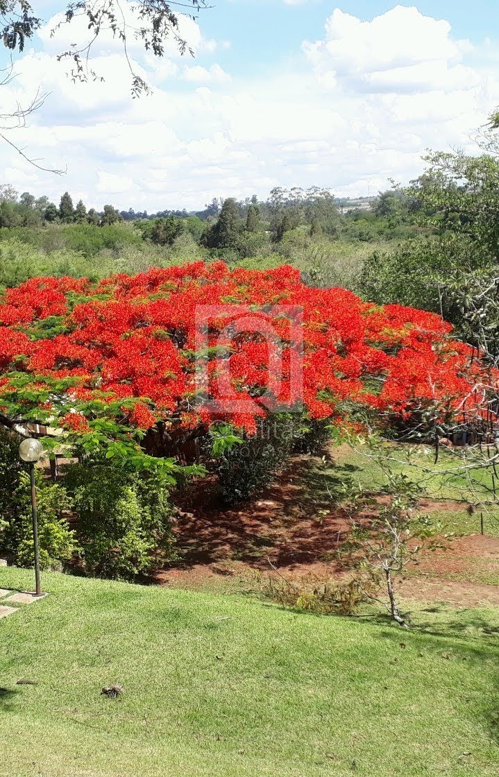 Chácara, 4 quartos, 50 m² - Foto 7