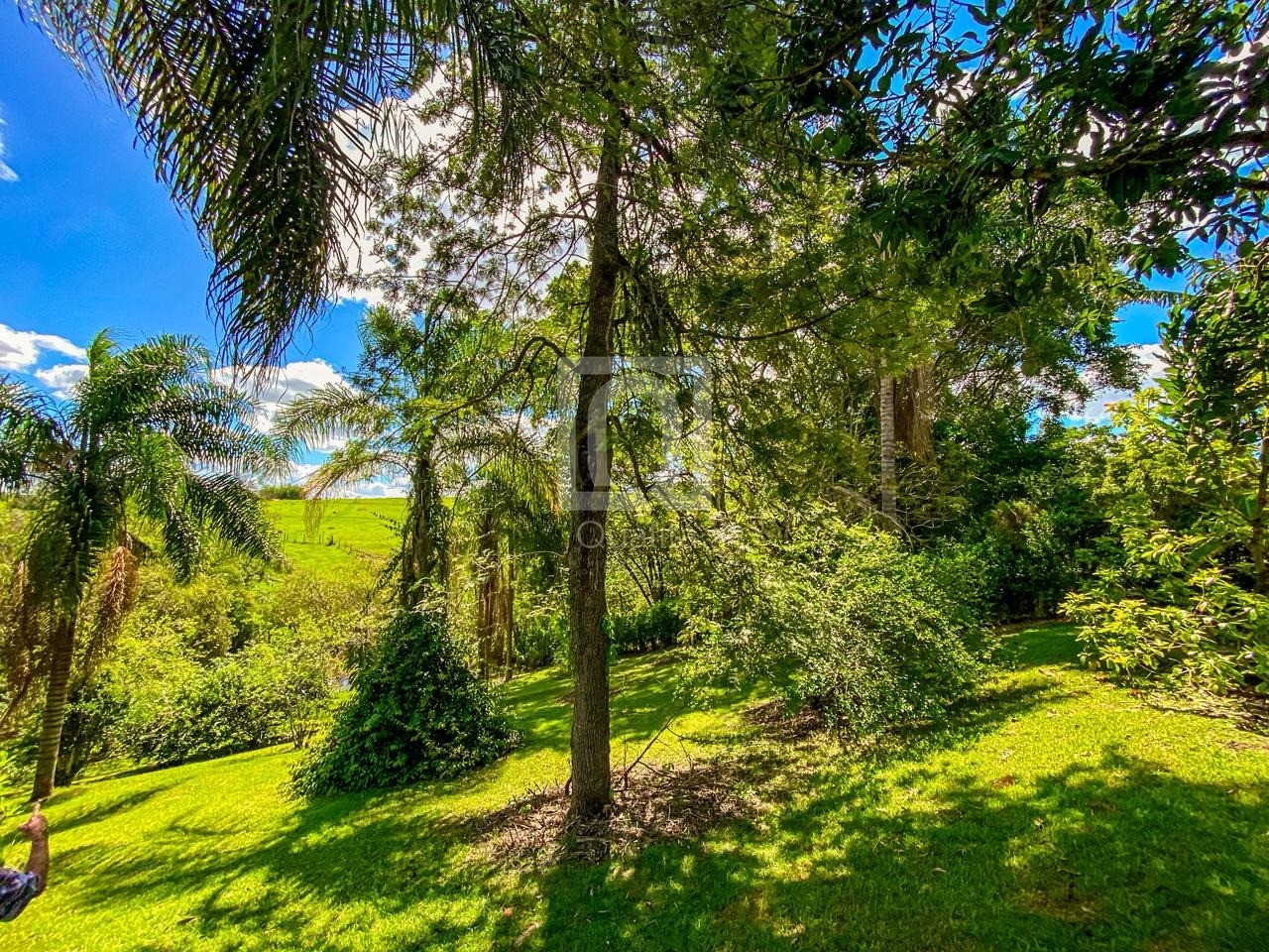 Chácara, 6 quartos, 5000 m² - Foto 76