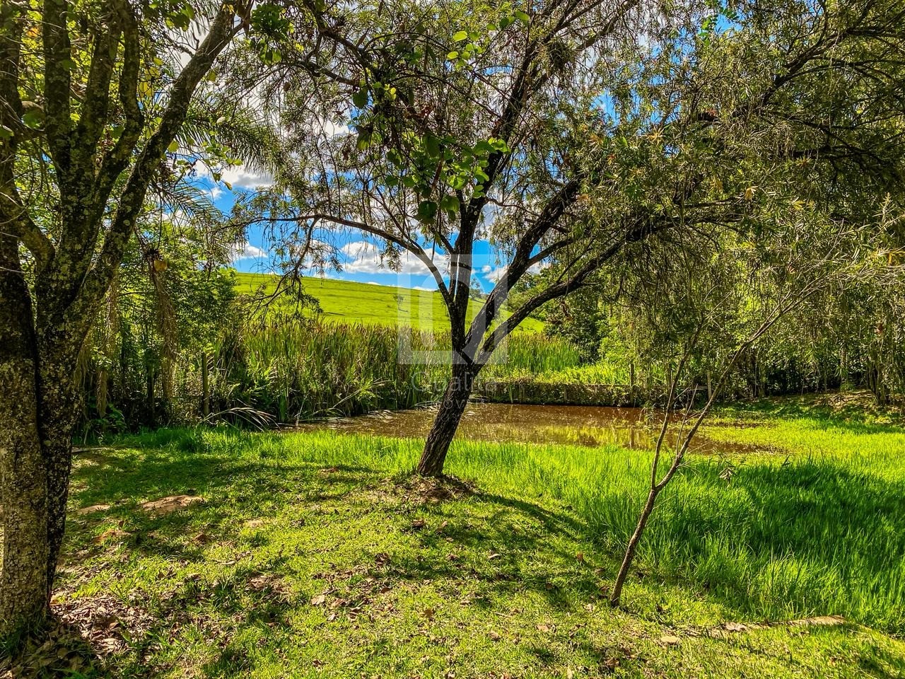 Chácara, 6 quartos, 5000 m² - Foto 77