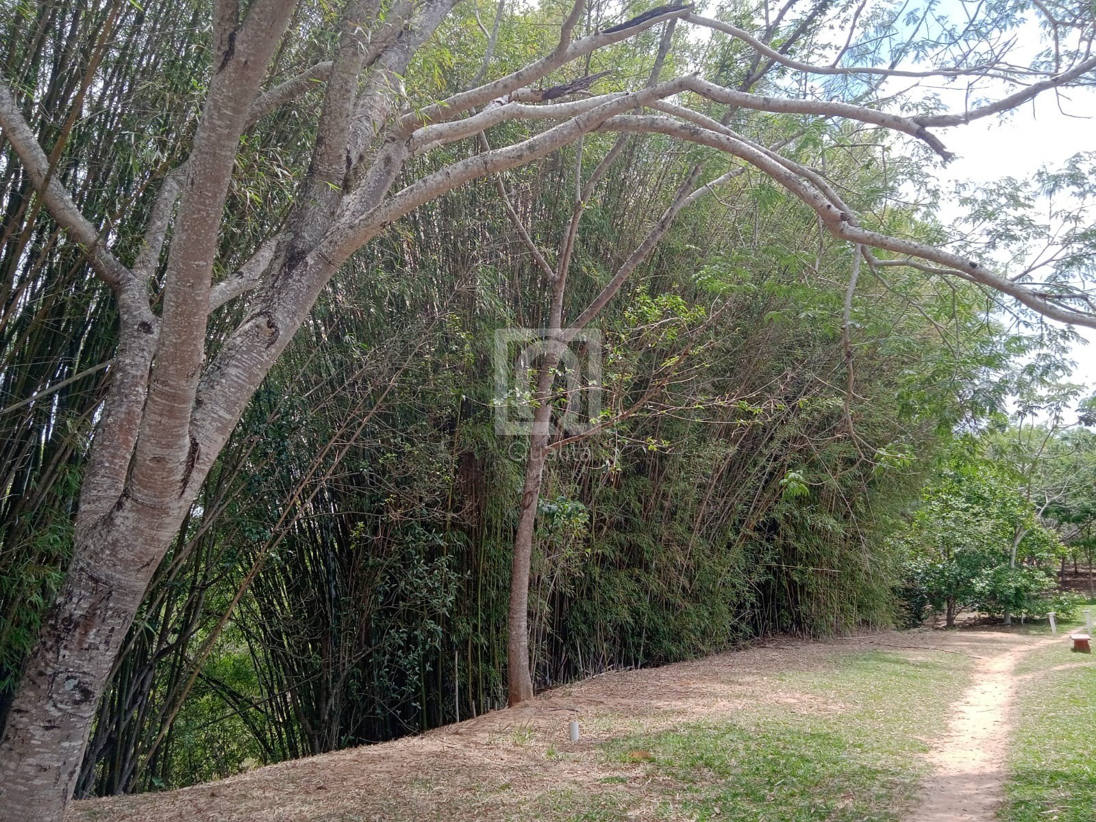 Chácara, 2 quartos, 1000 m² - Foto 55