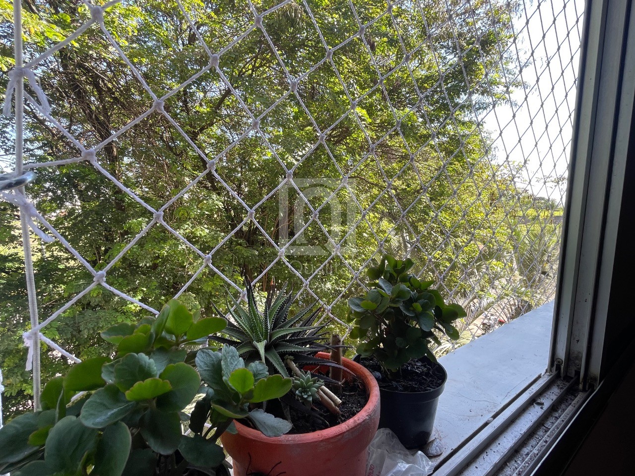 Apartamento, 2 quartos, 45 m² - Foto 4