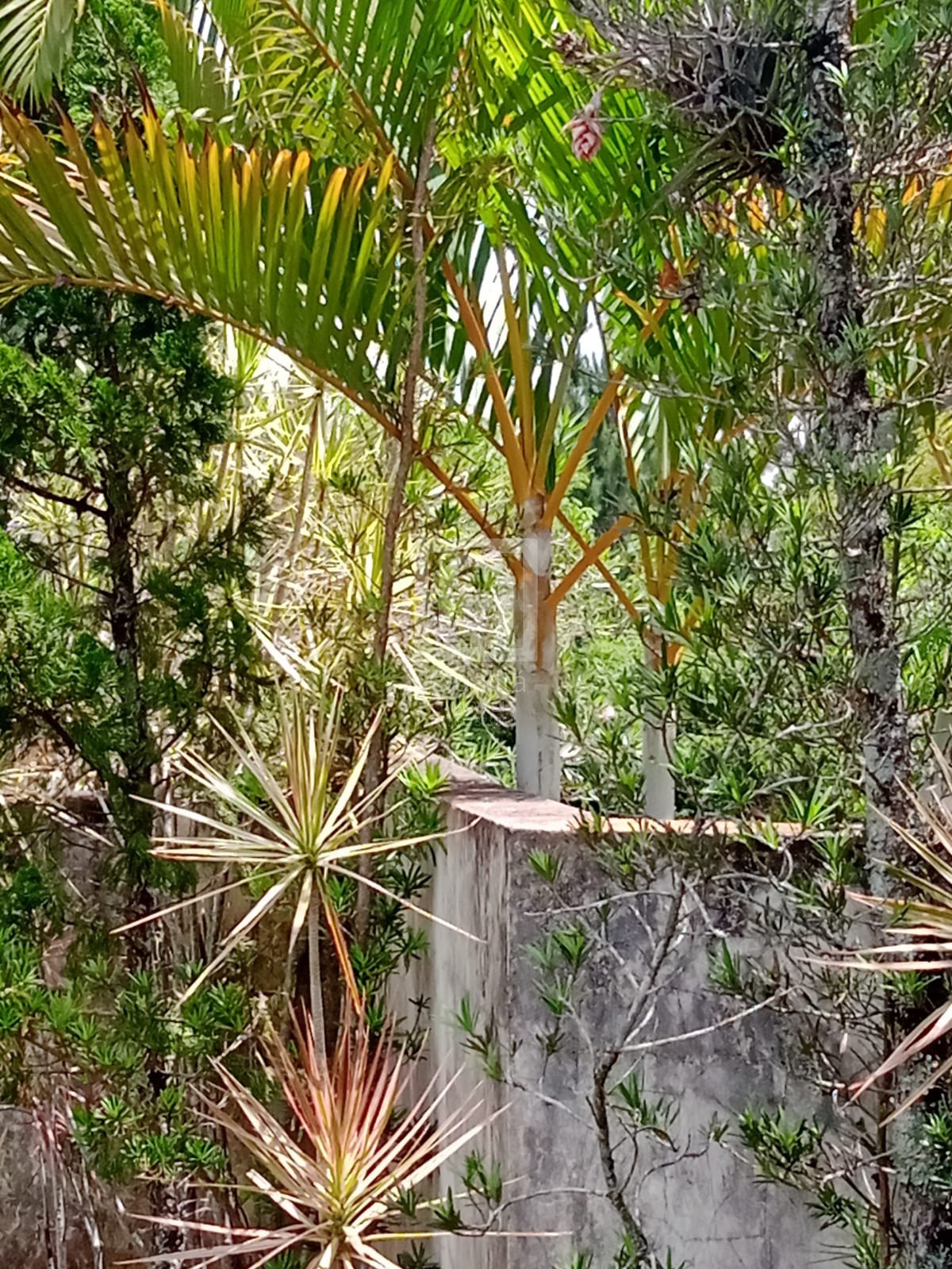 Chácara, 2 quartos, 1000 m² - Foto 48