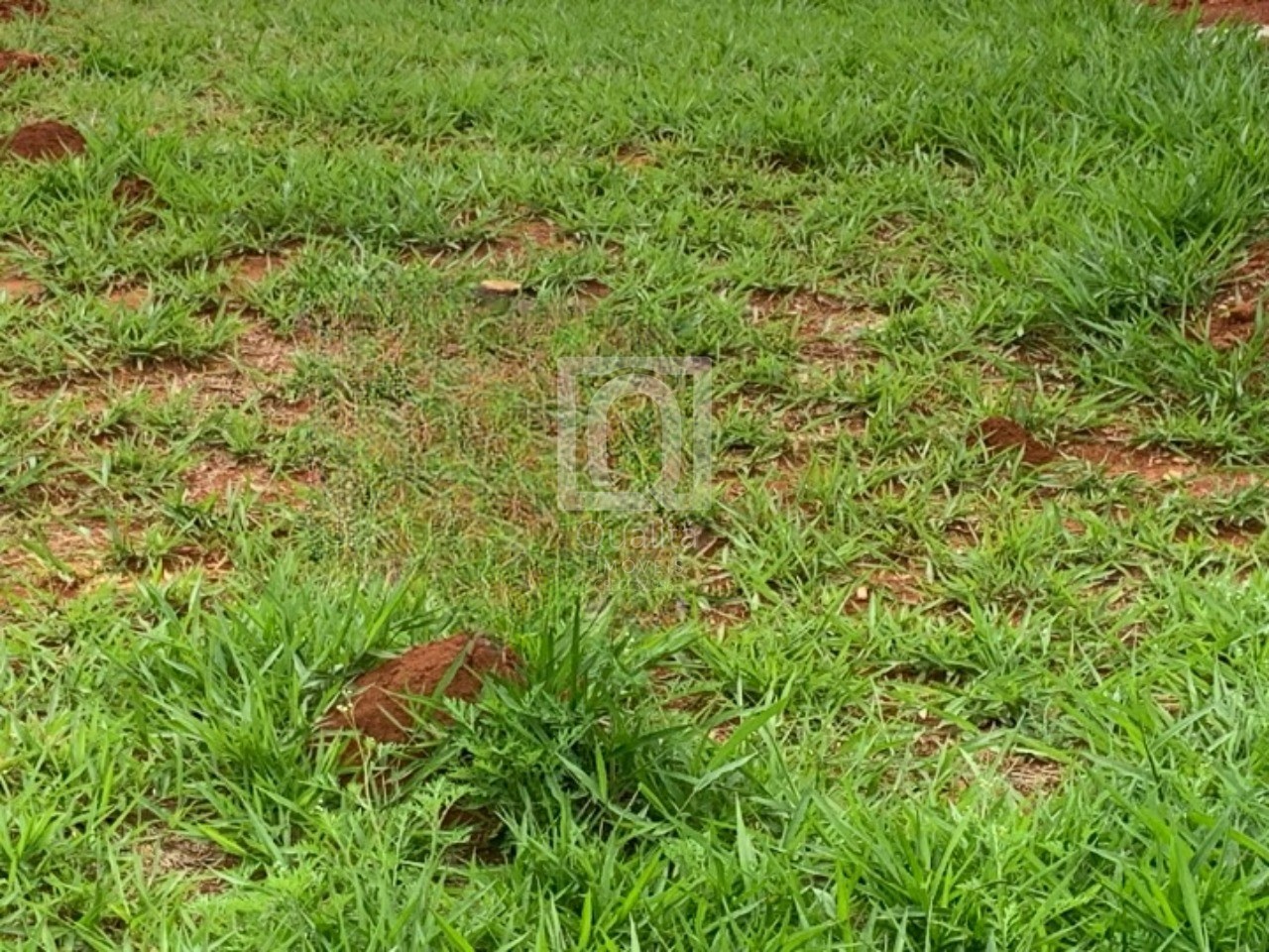 Terreno, 200 m² - Foto 2