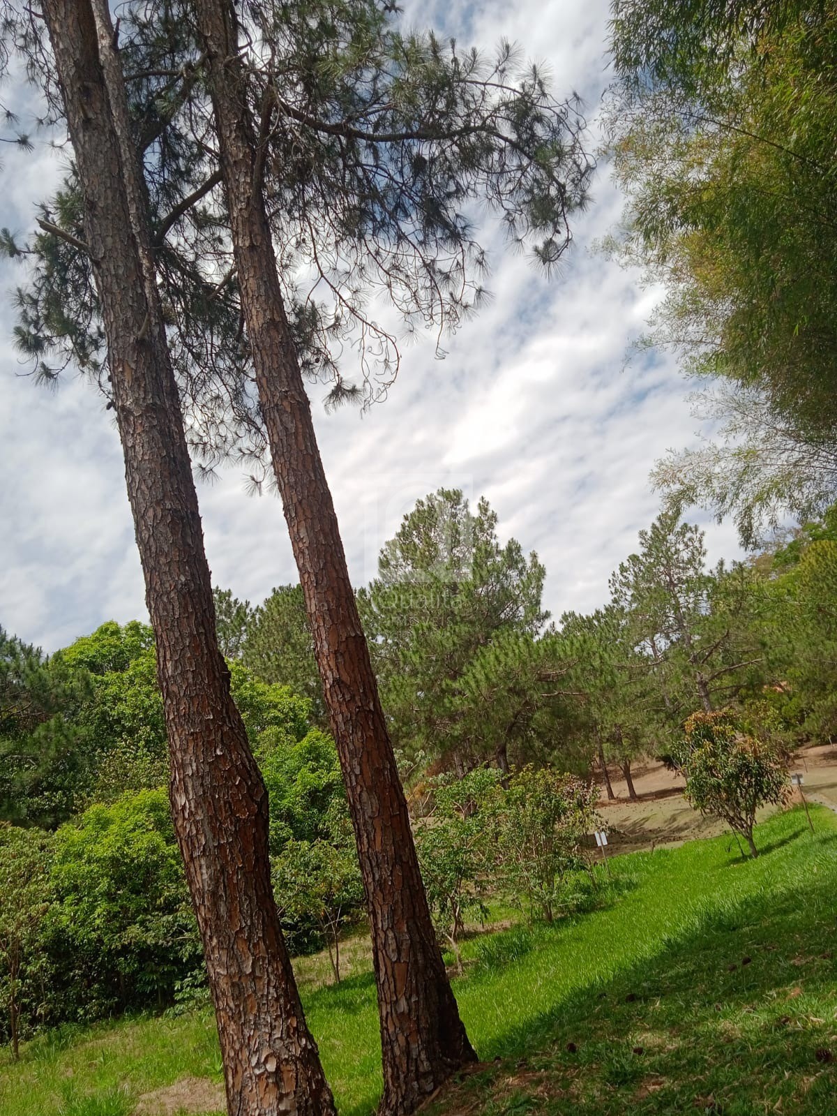 Chácara, 2 quartos, 1000 m² - Foto 45