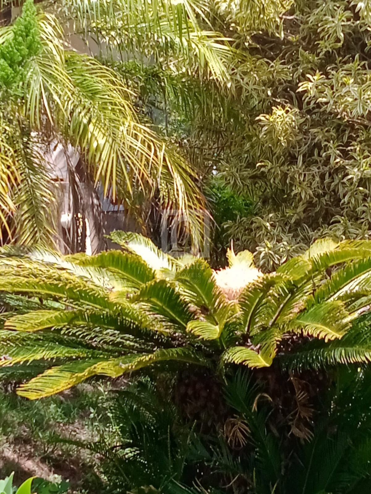 Chácara, 2 quartos, 1000 m² - Foto 66