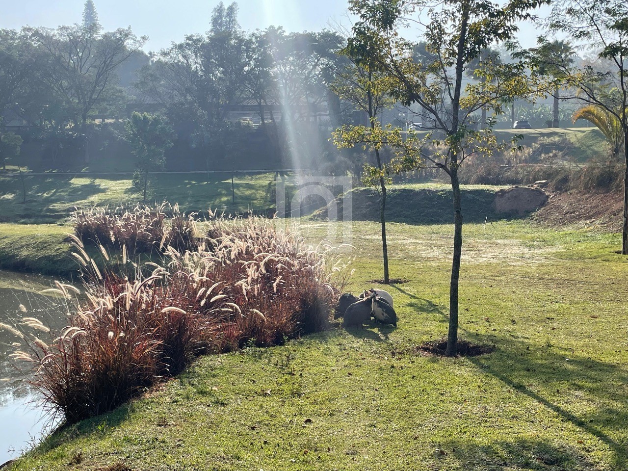 Casa de Condomínio, 3 quartos - Foto 18