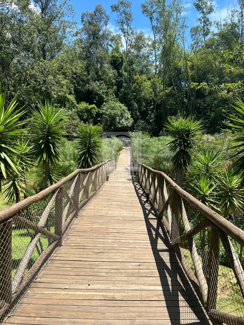 Apartamento, 2 quartos, 64 m² - Foto 26