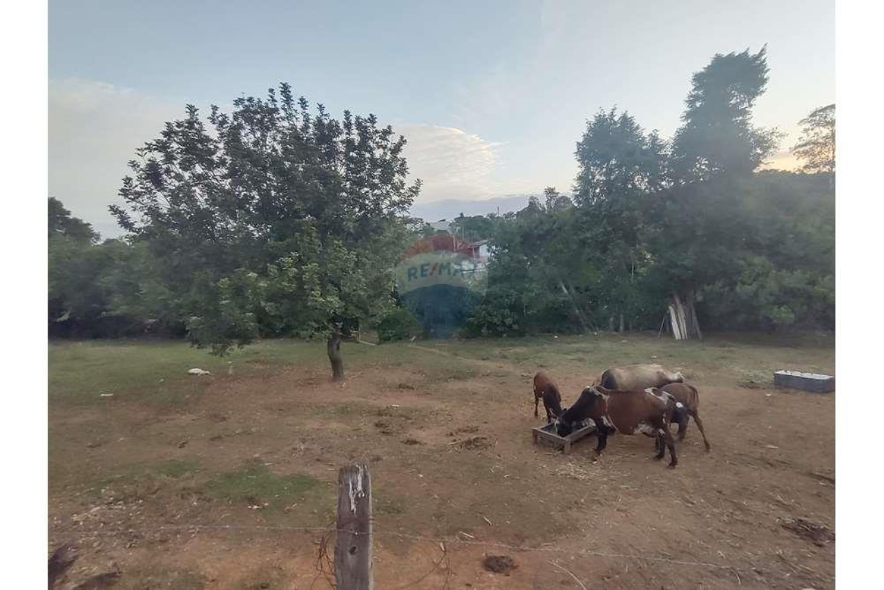 Terreno, 615 m² - Foto 7