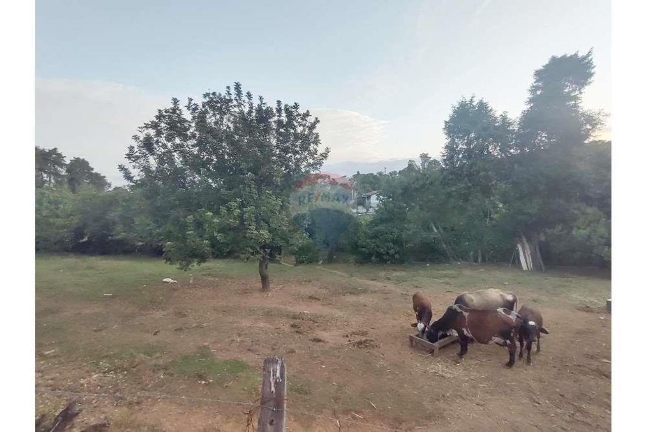 Terreno, 623 m² - Foto 4